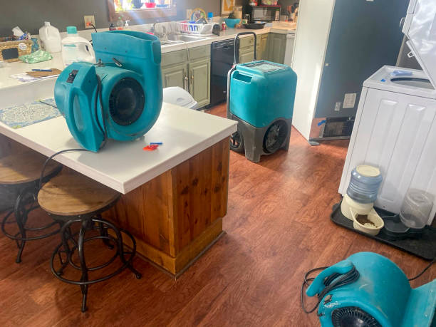 Best Water damage restoration mold remediation  in Perryopolis, PA