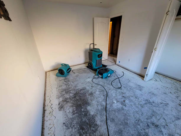 Best Flood damage cleanup  in Perryopolis, PA