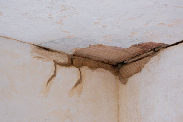 Best Water damage restoration process  in Perryopolis, PA