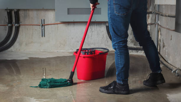 Best Basement water damage restoration  in Perryopolis, PA