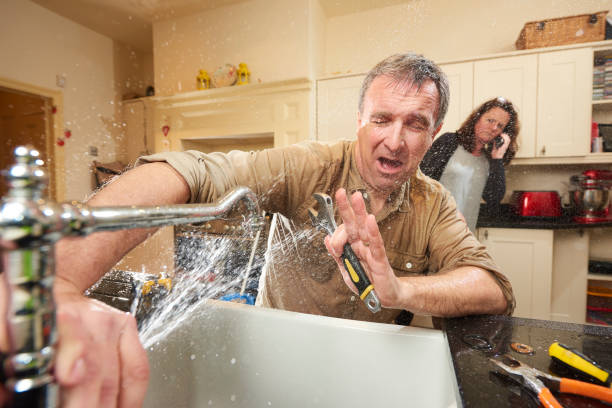 Best Local water damage restoration  in Perryopolis, PA